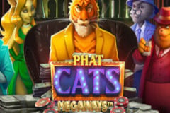 Tragamonedas 
Phat Cats Megaways