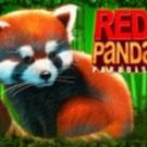 Tragamonedas 
Red Panda Paradise