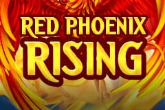 Tragamonedas 
Red Phoenix Rising