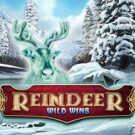 Tragamonedas 
Reindeer Wild Wins