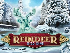 Tragamonedas 
Reindeer Wild Wins