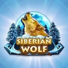 Tragamonedas 
Siberian Wolf