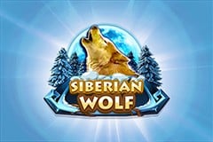 Tragamonedas 
Siberian Wolf