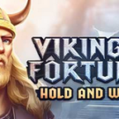 Tragamonedas 
Vikings Fortune: Hold and Win