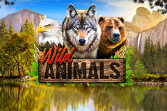 Tragamonedas 
Wild Animals