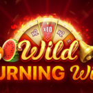 Tragamonedas 
Wild Burning Wins