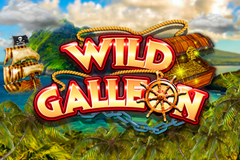 Tragamonedas 
Wild Galleon