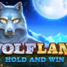 Tragamonedas 
Wolf Land: Hold and Win