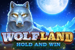 Tragamonedas 
Wolf Land: Hold and Win