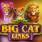 Tragaperras 
Big Cat Links