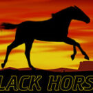 Tragaperras 
Black Horse™