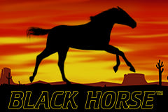 Tragaperras 
Black Horse™