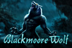 Tragaperras 
Blackmoore Wolf