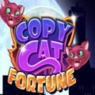 Tragaperras 
Copy Cat Fortune