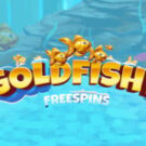 Tragaperras 
Gold Fishy Free Spins