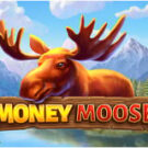 Tragaperras 
Money Moose