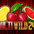 Tragaperras 
Multi Wild 243