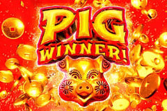 Tragaperras 
Pig Winner