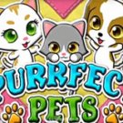 Tragaperras 
Purrfect Pets