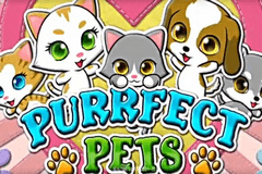 Tragaperras 
Purrfect Pets