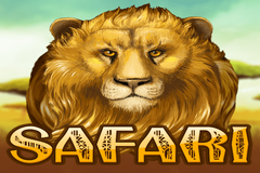 Tragaperras 
Safari