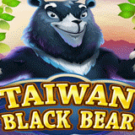 Tragaperras 
Taiwan Black Bear