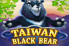 Tragaperras 
Taiwan Black Bear