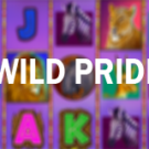 Tragaperras 
Wild Pride