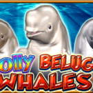 Tragaperras 
Jolly Beluga Whales