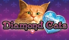 Tragaperras 
Diamond Cats