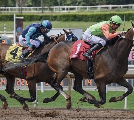 El SIS amplía el acuerdo para la cobertura del hipismo español