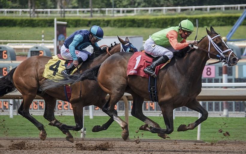 carrera de caballos