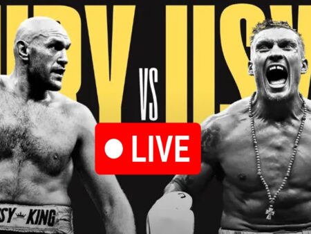 Tyson Fury vs Oleksandr Usyk : live stream online en vivo 2024