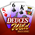 Deuces Wild — Juega 100% gratis en modo demo