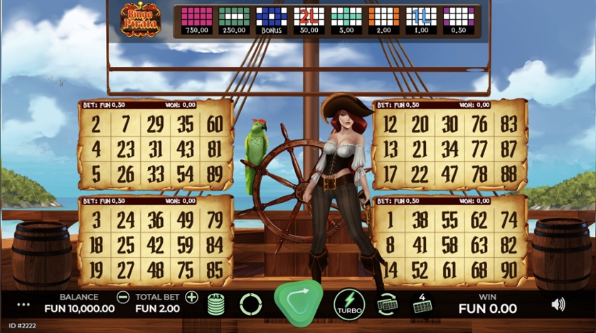 Bingo pirata.jpg