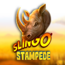 Bingo Slingo Stampede — Juega 100% gratis en modo demo