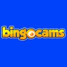 Bingo Cams Casino Online