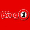 Bingo 1 Casino Online