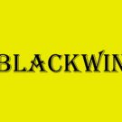 Black Win Casino Online