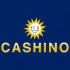 Cashino Casino Online