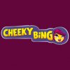 Cheeky Bingo Casino Online