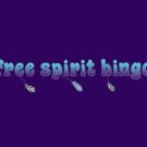 Free Spirit Bingo Casino Online