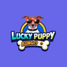 Lucky Puppy Bingo Casino Online