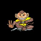 Monkey Bet Casino Online