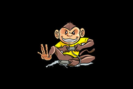 Monkey Bet Casino Online