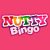 Nutty Bingo Casino Online