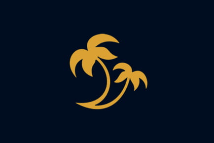 Palms Bet Casino Online