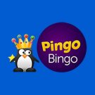 Pingo Bingo Casino Online