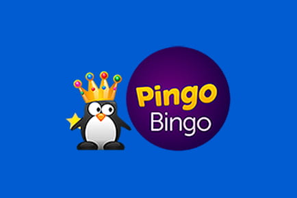 Pingo Bingo Casino Online