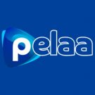 Pelaa Casino Online